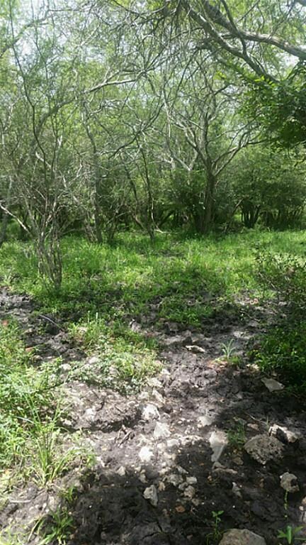 000 Spell Rd, Needville, TX 77461 - photo 6