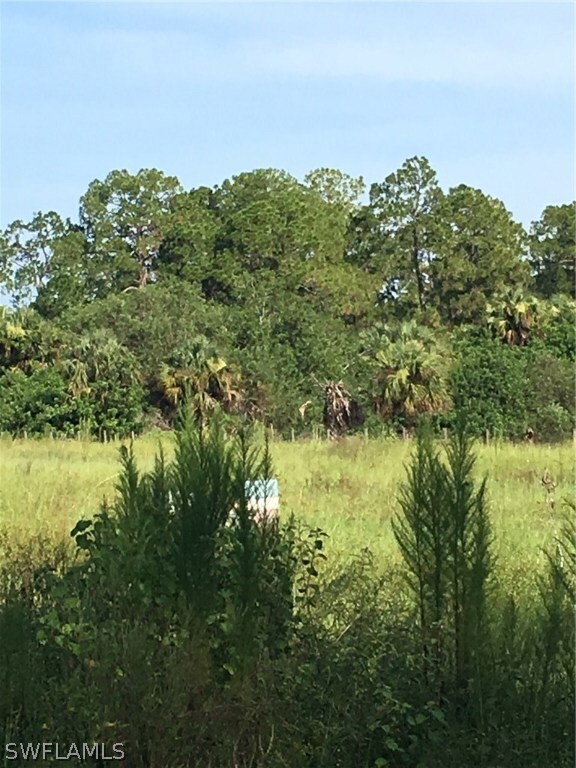 3320 Packinghouse Rd, Alva, FL 33920 - photo 2