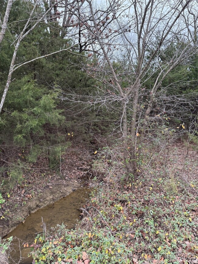 From the road you can see some of the creek.