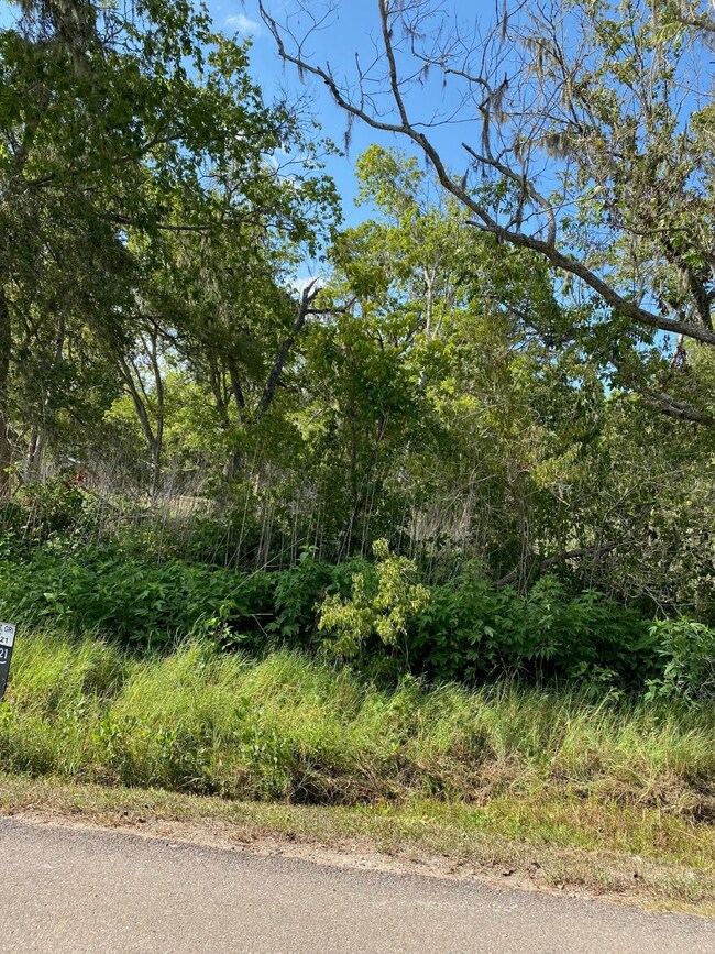 00 County Road 510j, Brazoria, TX 77422 - photo 4