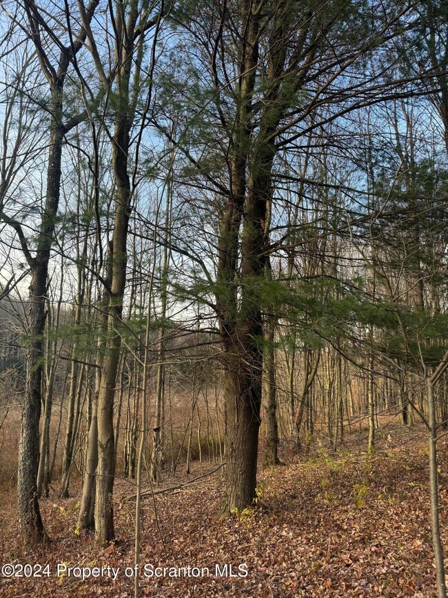 0 Shust Rd unit GSBSC5708, Greenfield Township, PA 18407 - photo 5