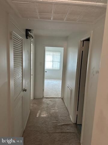 2634 Fort Farnsworth Rd unit 1B, Alexandria, VA 22303 - photo 4