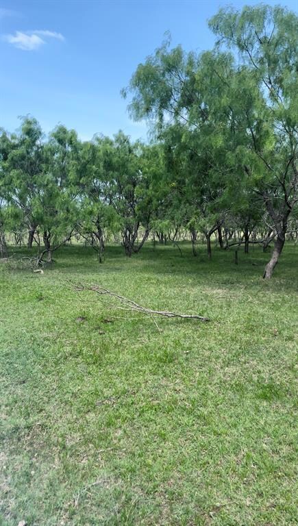 Lot 5 Gin Rd, Ennis, TX 75119 - photo 2