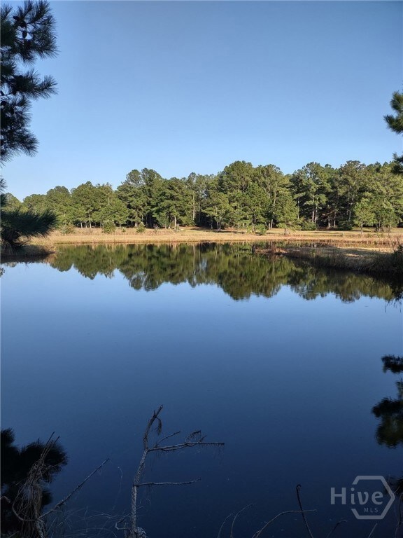 680 Porter's Landing Rd unit LOT 1, Clyo, GA 31303 - photo 7