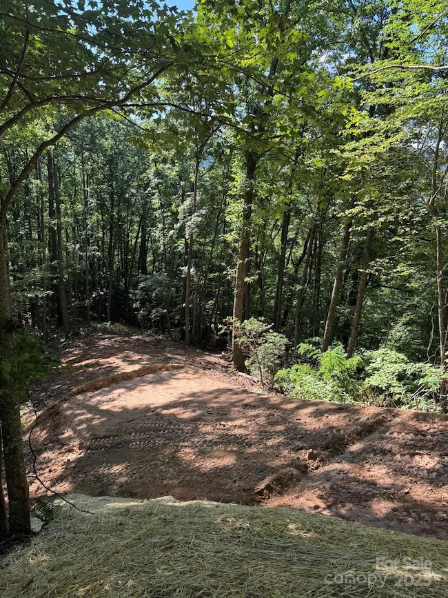 97 Hosta Dr, Sylva, NC 28779 - photo 4