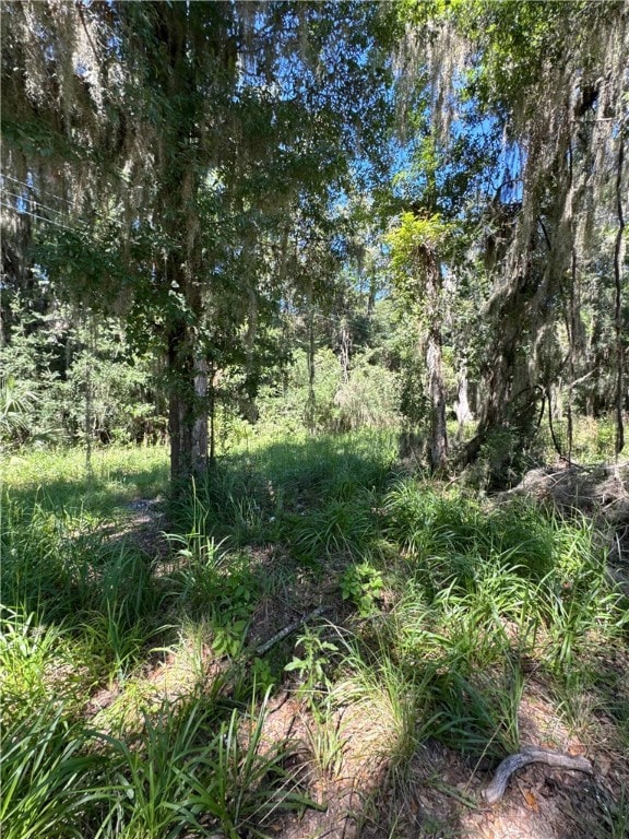 Lot 20 & 21 Riverside Dr, Darien, GA 31305 - photo 3