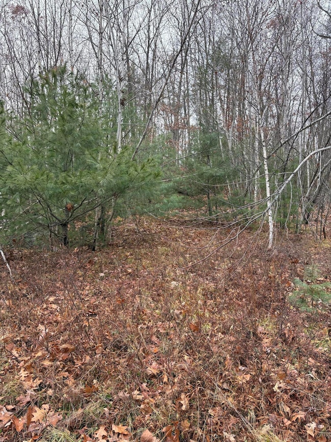 M11L29-006 Joseph Way, Waterboro, ME 04030 - photo 5