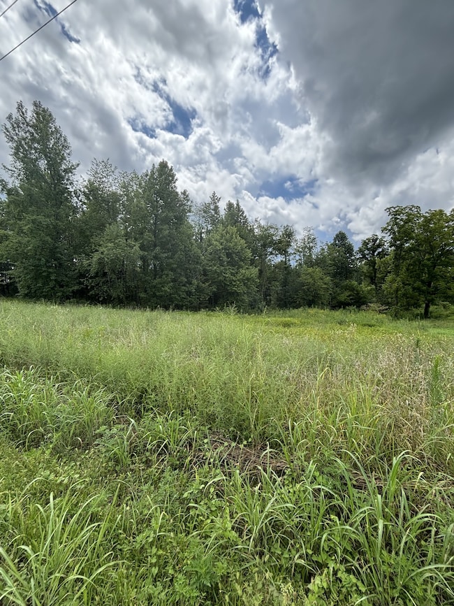 0 Fredonia Rd unit RTC2945295, Manchester, TN 37355 - photo 3