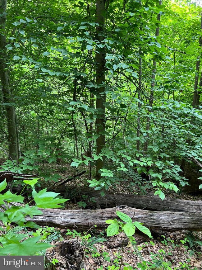 0 Quarry Rd unit VAST2021588, Stafford, VA 22554 - photo 4