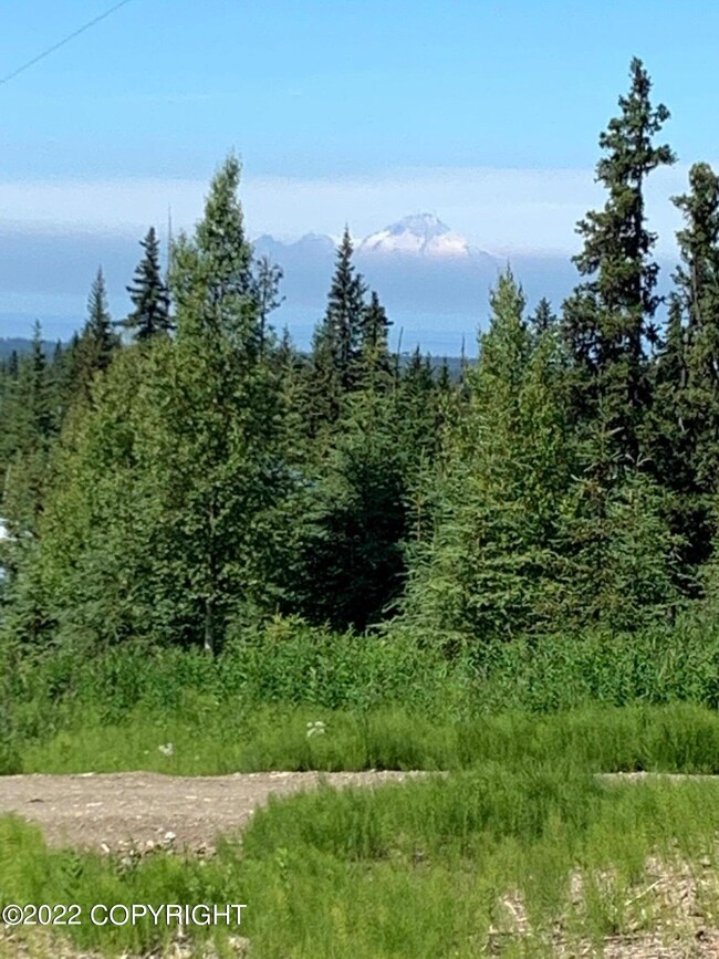 64490 Trail Rd, Anchor Point, AK 99556 - photo 5