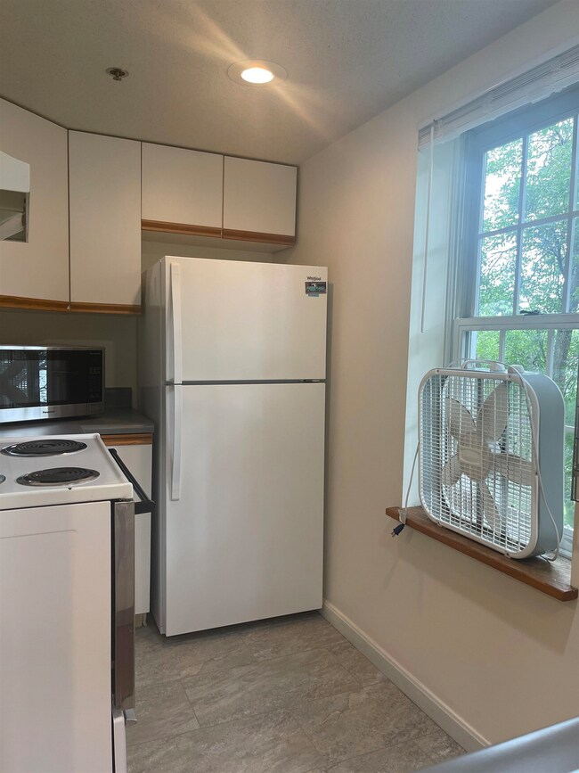 16 Hemlock Ridge Dr unit 301, White River Junction, VT 05001 - photo 5