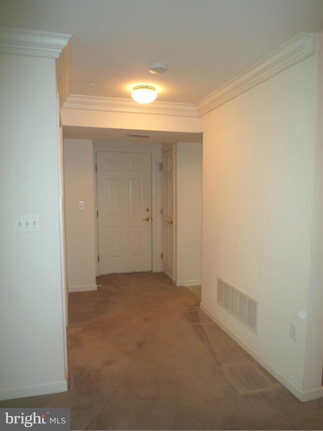 6502 Ridenour Way E unit 2B, Sykesville, MD 21784 - photo 6