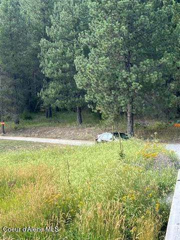 101 Pines Rd, Newport, WA 99156 - photo 4