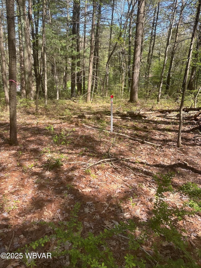 PARCEL 110 A 4th Gap Rd, Washington Township, PA 17810 - photo 2