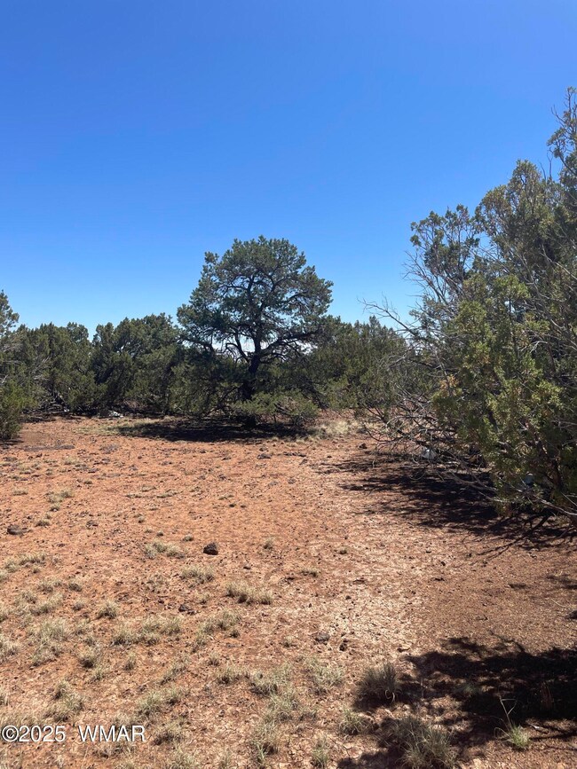 108 Colorado Ave, Concho, AZ 85924 - photo 6