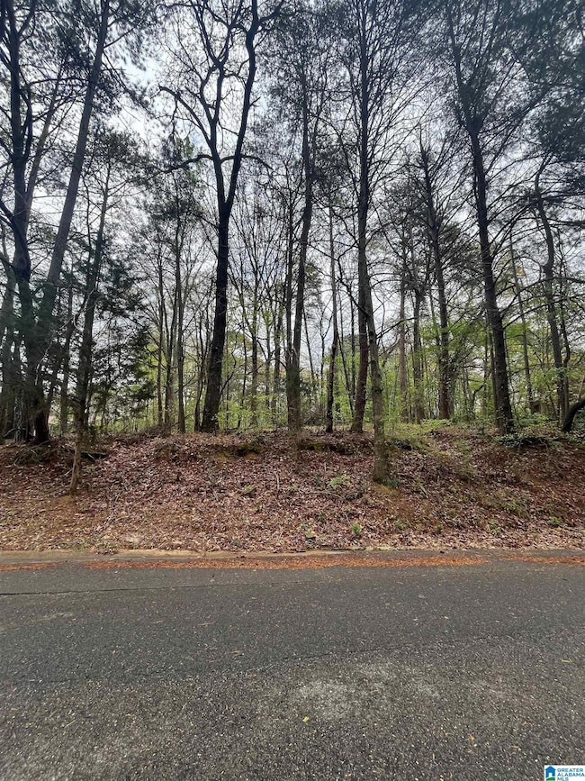 921 Pinehaven Dr unit 8, Bessemer, AL 35023 - photo 2