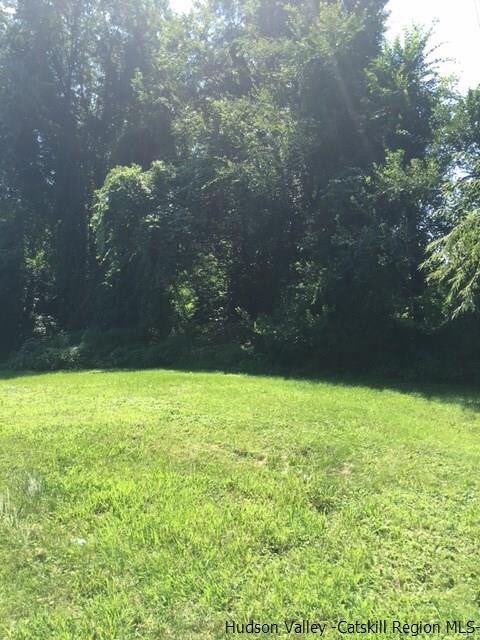 67 Chestnut Ln unit 69, Milton, NY 12547 - photo 7