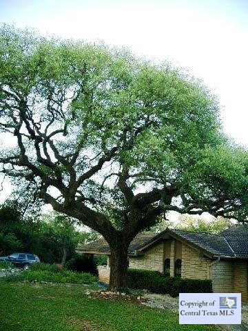 unlisted-address, San Marcos, TX 78666 - photo 2