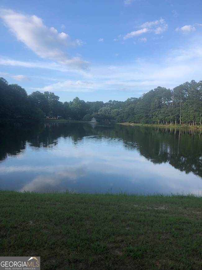 190 Bontura Dr, Senoia, GA 30276 - photo 6