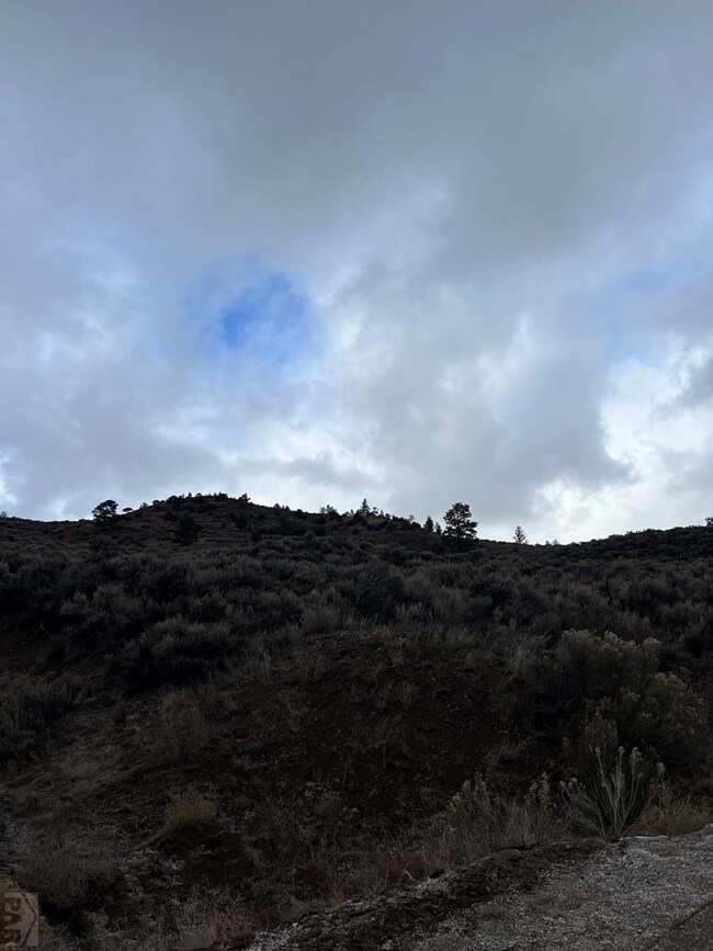 232 0, Fort Garland, CO 81133 - photo 4