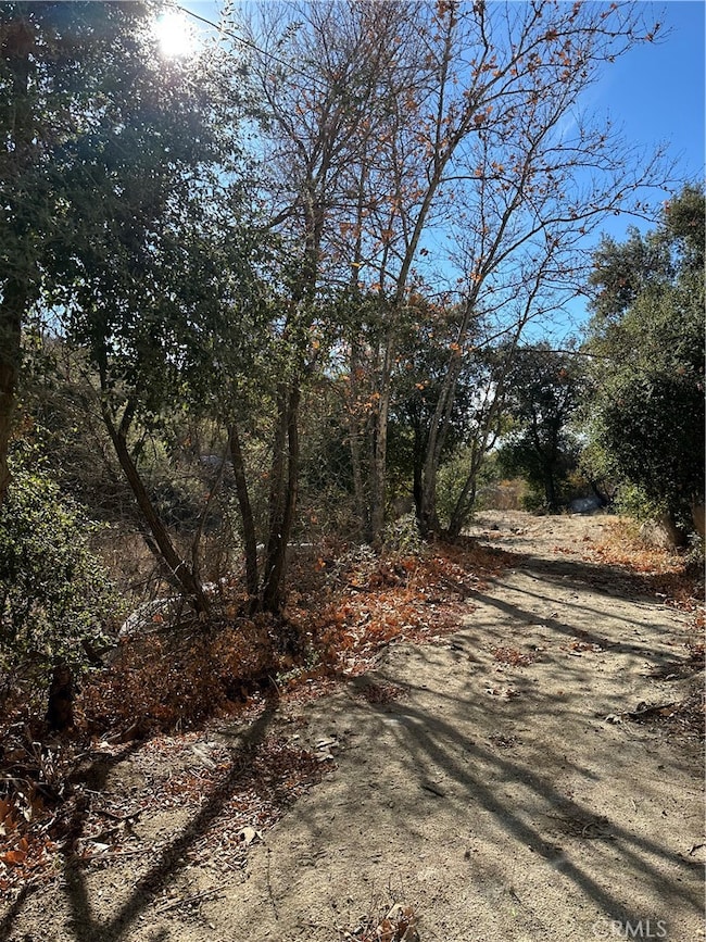 0 Avenida Sierra Rojo Rd unit SW25267240, Sage, CA 92544 - photo 5