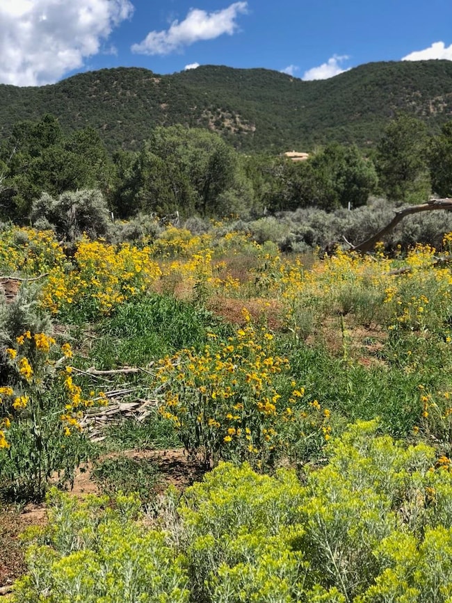 2008 Cottontail Rd, Taos, NM 87571 - photo 7