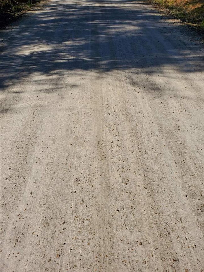 0 Choctaw Rd unit 358849, Crawfordville, FL 32327 - photo 4