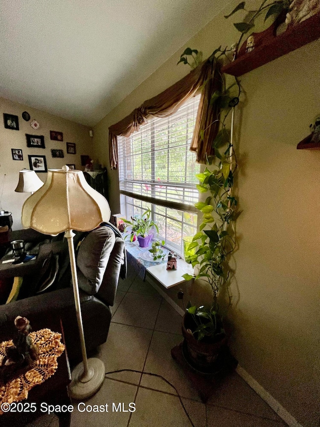 jacaranda front living rm window