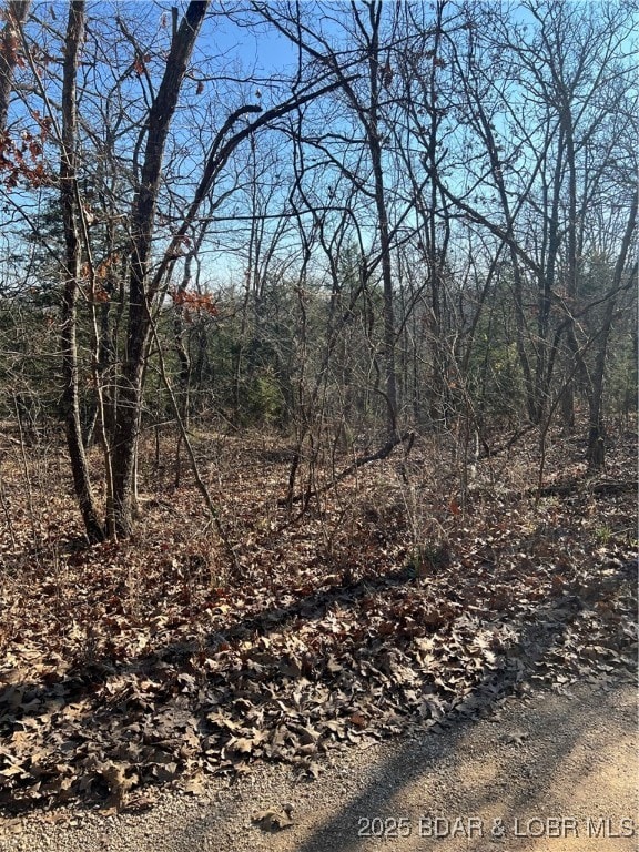 0 Lavender Rd unit 3582831, Moreau Township, MO 65011 - photo 2