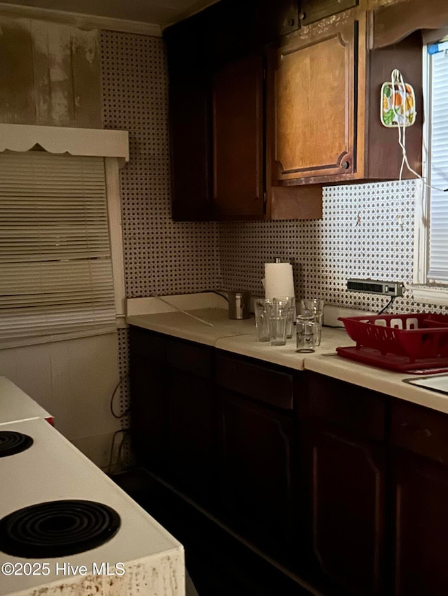 1010 Academy St, Fair Bluff, NC 28439 - photo 5