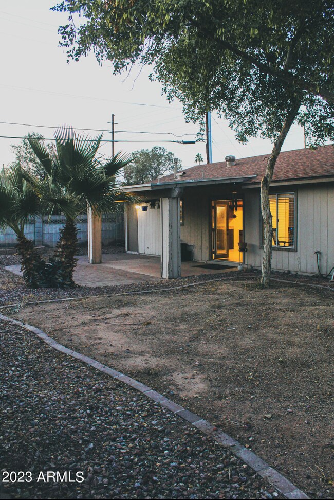 Backyard side