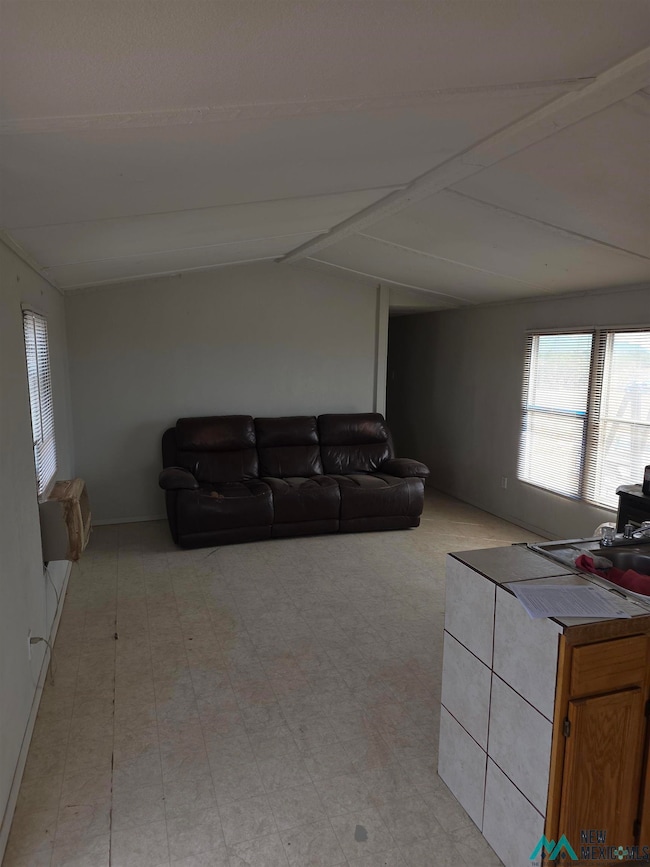 5980 Alma Rd SW, Deming, NM 88030 - photo 6