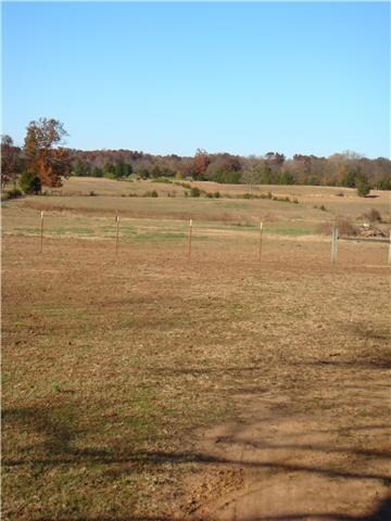 2854 Sims Rd, Shelbyville, TN 37160 - photo 7