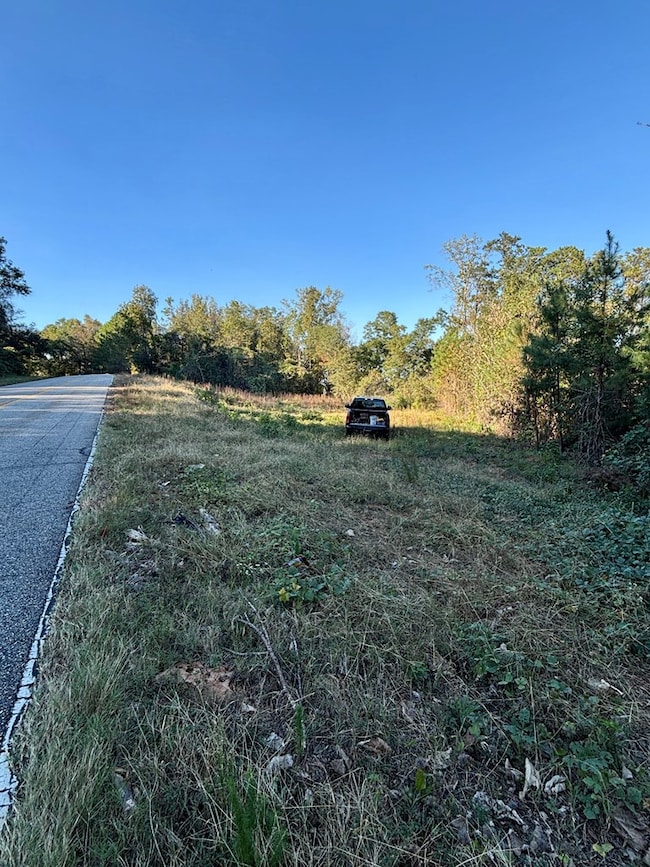 TBD Alternate 97, Abbeville, AL 36310 - photo 2