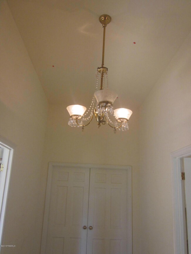 Foyer entrance and light fixture