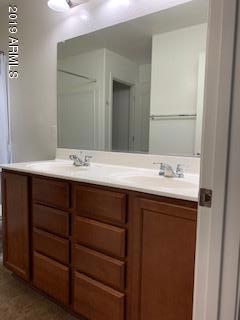 Master Dual Vanity with Lots of Storage