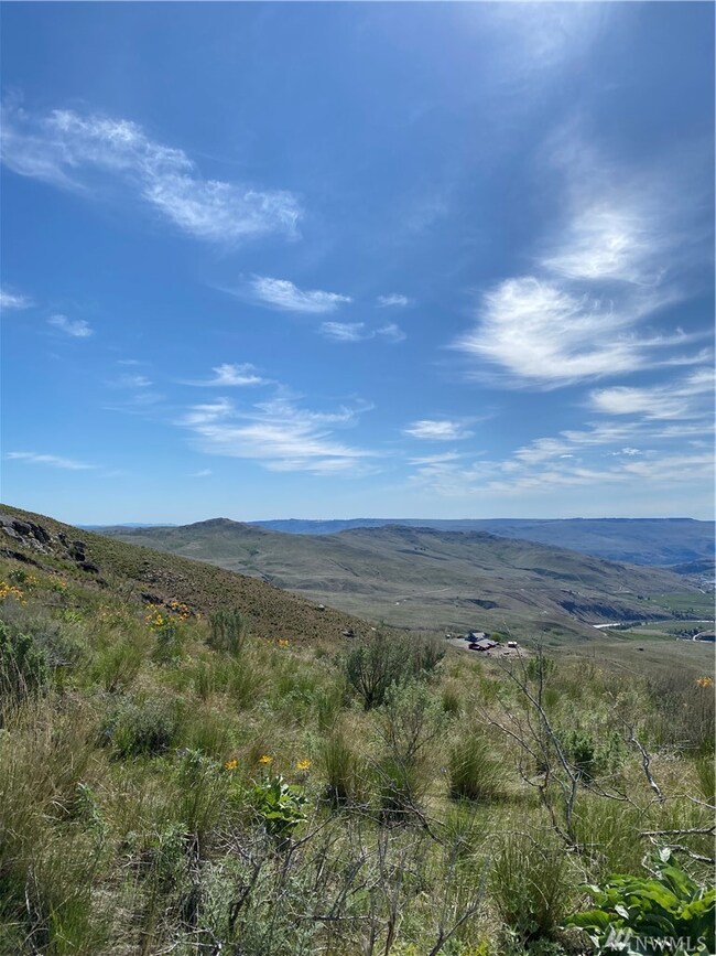 0 Lariat Lp unit 1594075, Methow, WA 98834 - photo 2