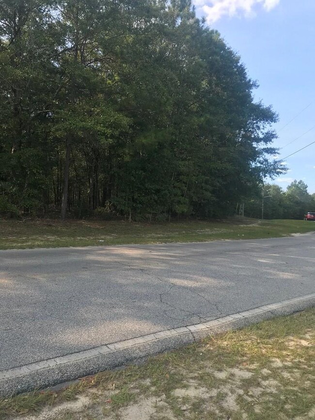 0 Shirley Dr, Vidalia, GA 30474 - photo 4