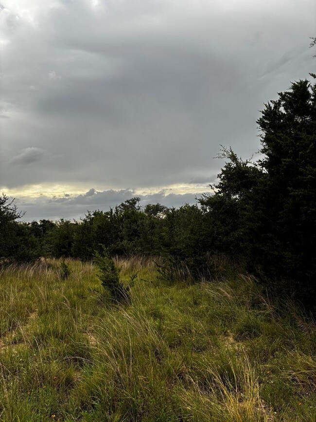 103 Lee Hall unit 123, Blanco, TX 78606 - photo 4