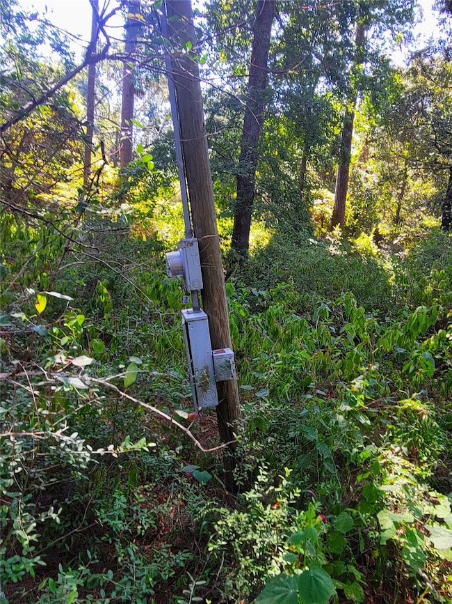 Utility/Meter Pole located on the lot