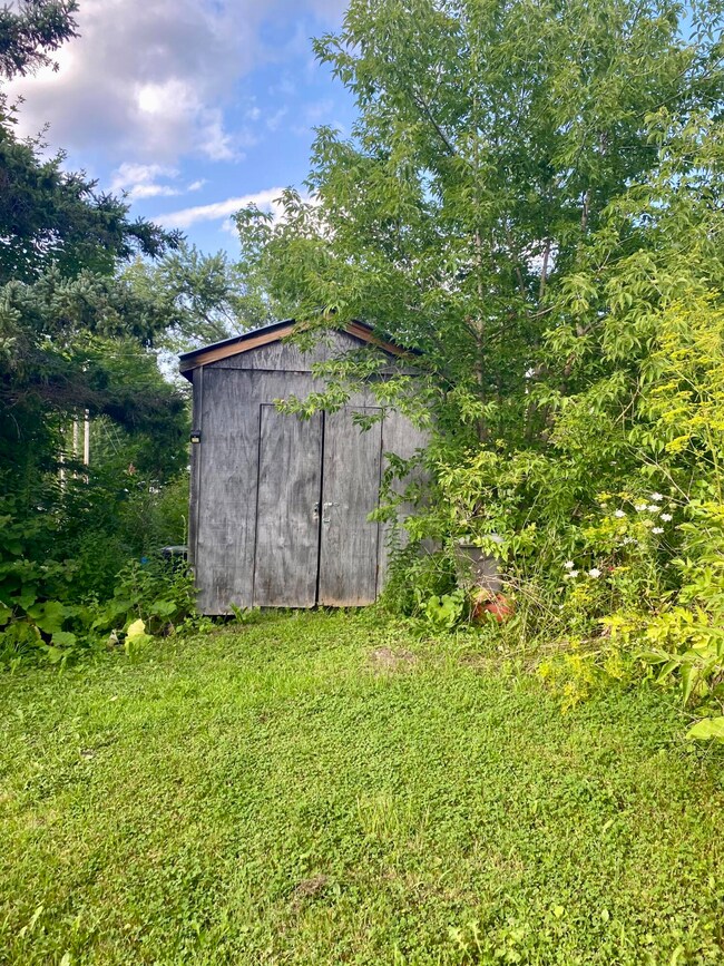 Shed