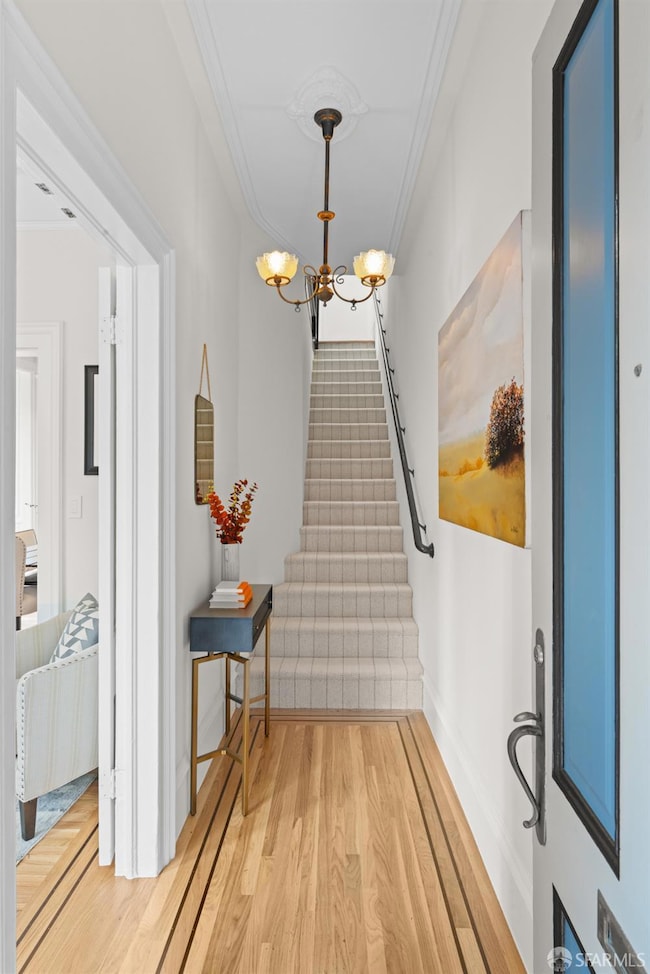 309 Steiner St unit D, San Francisco, CA 94117 - photo 2