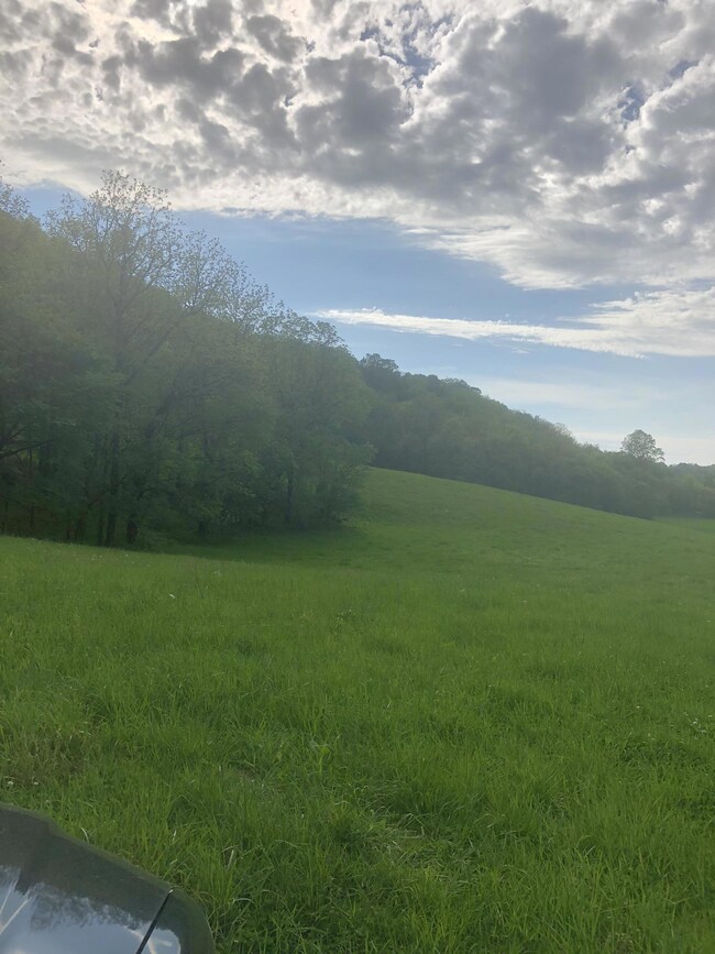 View of hill and tree line