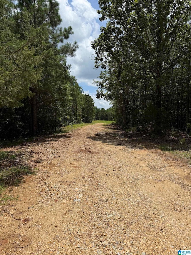 2718 Old Woodstock Rd, West Blocton, AL 35184 - photo 6