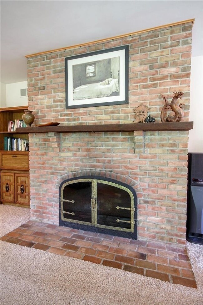 Wood-burning fireplace