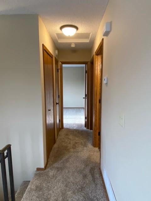 10026 Cord St NE, Circle Pines, MN 55014 - photo 5