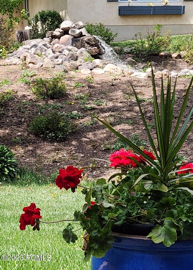 cropped water feature