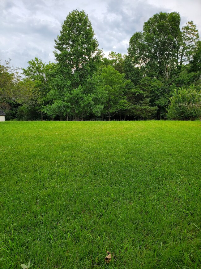 0 Highway 82 S unit RTC2545868, Shelbyville, TN 37160 - photo 4