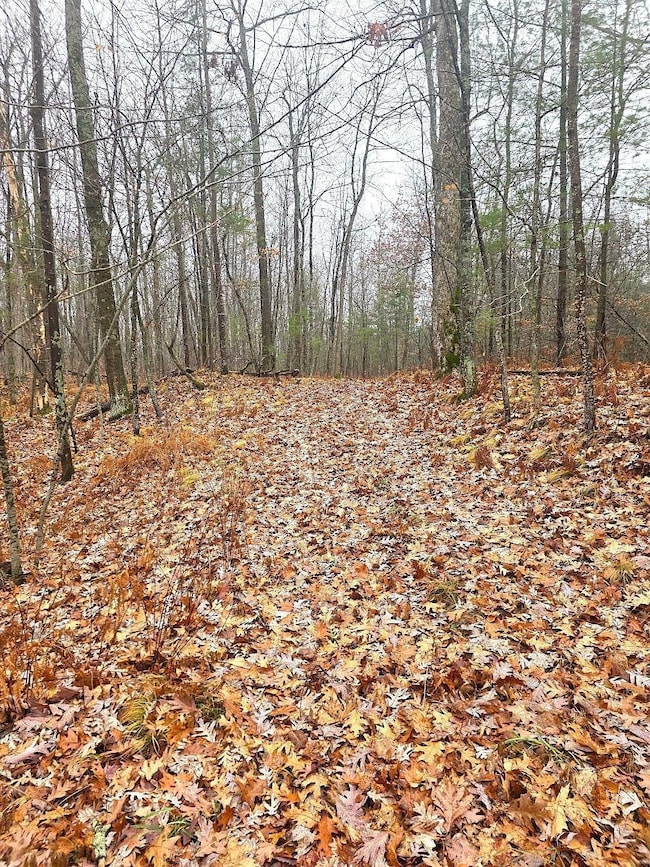 2391 40th St, Cumberland, WI 54829 - photo 7