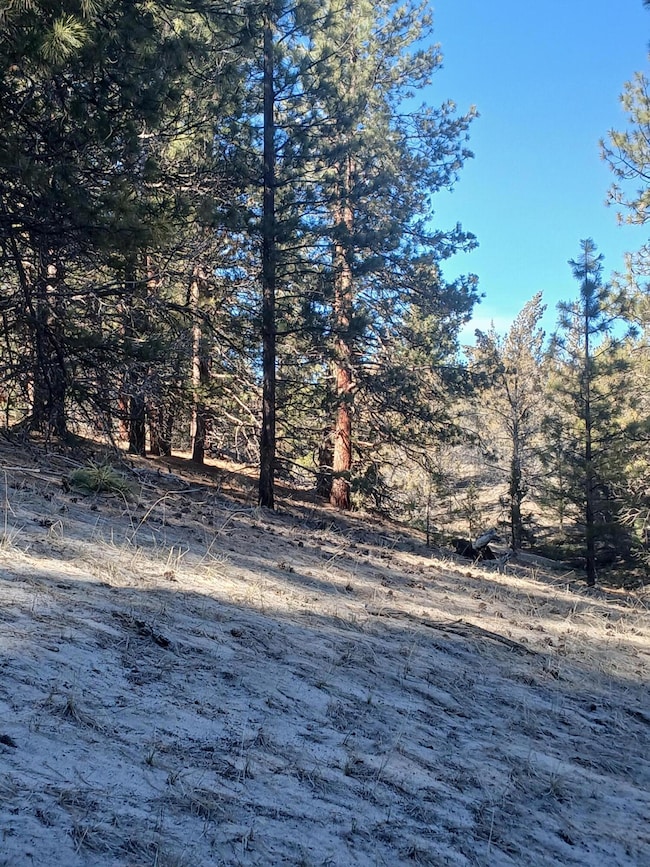 0 Drews Rd unit 220198278, Beatty, OR 97621 - photo 5